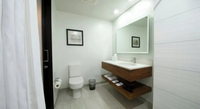 Двухместный номер Deluxe Four Points by Sheraton San Jose Sabana