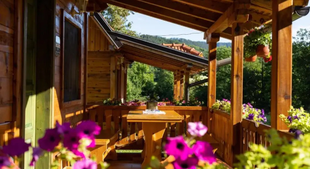 Апартаменты Apartments Milev