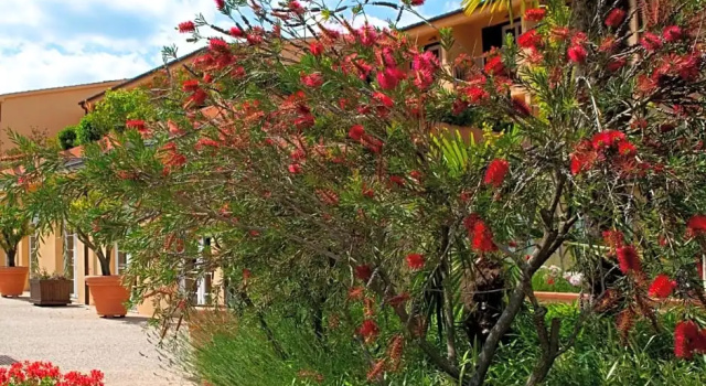 Номер Classic Hotel Villa Cappugi