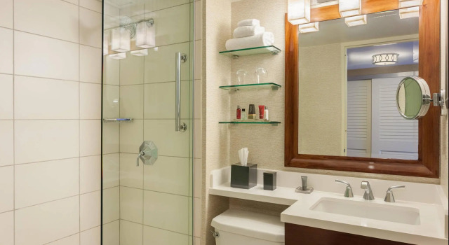 Люкс Tampa Airport Marriott