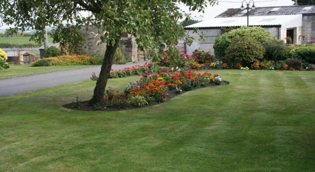 Crich Lane Farm, Rezerwuj Pobyt na farmie Alfreton Derbyshire