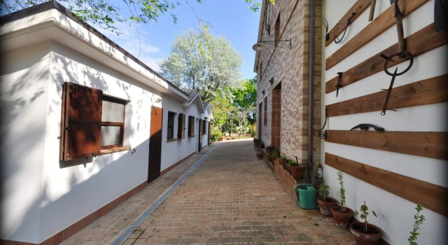 Studio in Castel Colonna, With Pool Access and Enclosed Garden