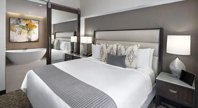 Двухместный люкс Executive c 1 комнатой JW Marriott Houston Downtown