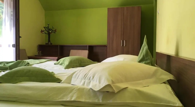 Номер Standard Pensiunea Michael's House