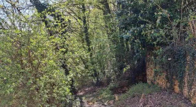 Коттедж c 1 комнатой Gîtes du Bois de Bontemps