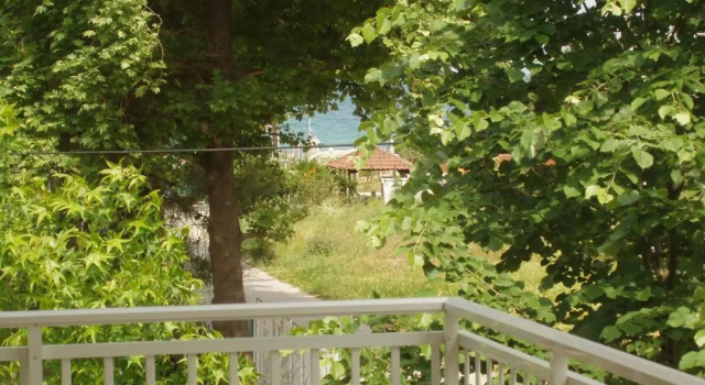 Студия Prionas Studios