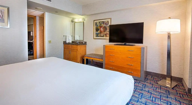 Двухместный люкс c 1 комнатой Embassy Suites by Hilton Chicago O'Hare Rosemont