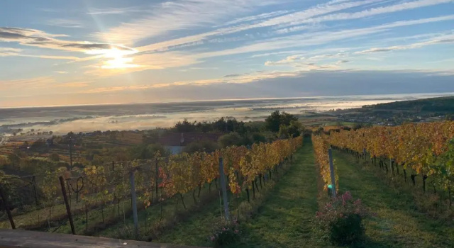 Коттедж Kellerstöckl Weinblick I und II