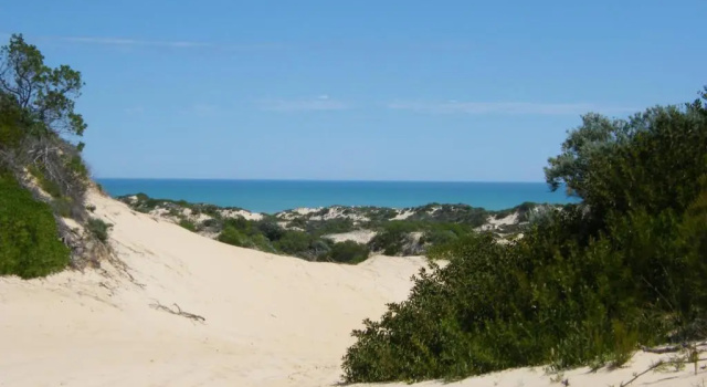Коттедж с 3 комнатами Coorong Waterfront Retreat