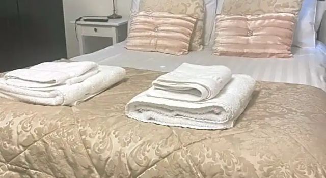 Семейный номер Deluxe Coach house hotel