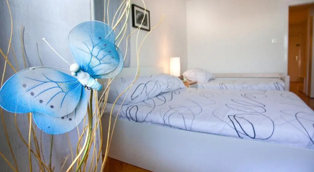 Apartment Banjo Polo