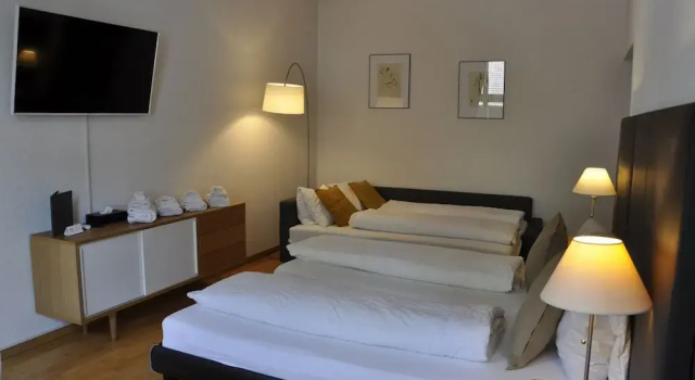 Студия Comfort Hotel zum Hirschen