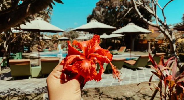 Номер Deluxe Bali Wirasana Inn