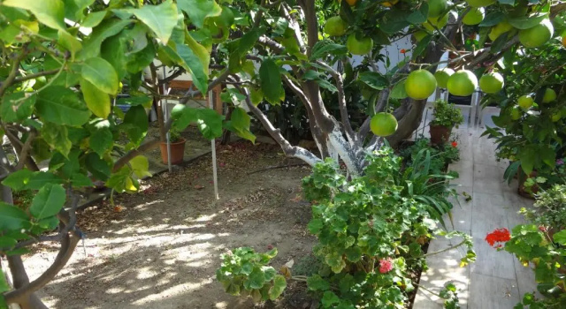 Cozy Citrus Garden House by the Seaside., Забронировать Отель Khónai Андрос