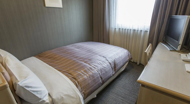Одноместный номер Standard Hotel Route-Inn Tokyo Ikebukuro