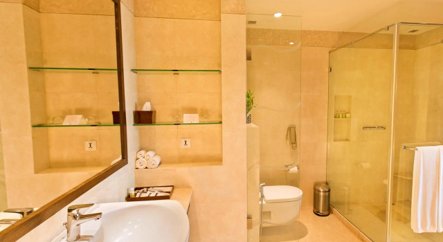 Люкс Executive The Lalit Jaipur