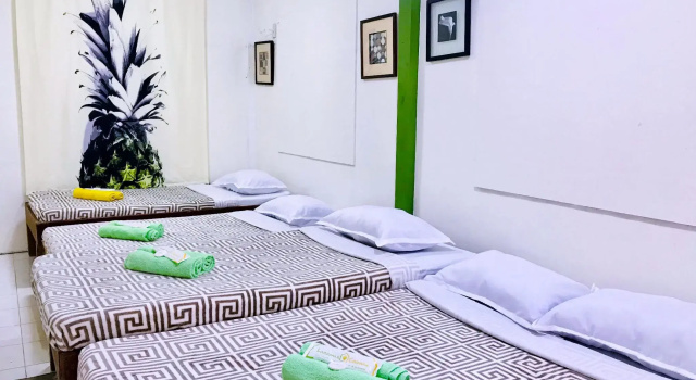 Номер Standard Lanzones Cabana