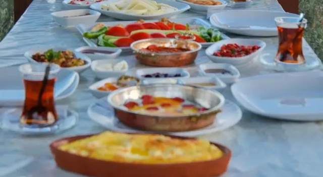 Cinaravlu Koyevi, Rezervați Hotel Edremit Aegean Region