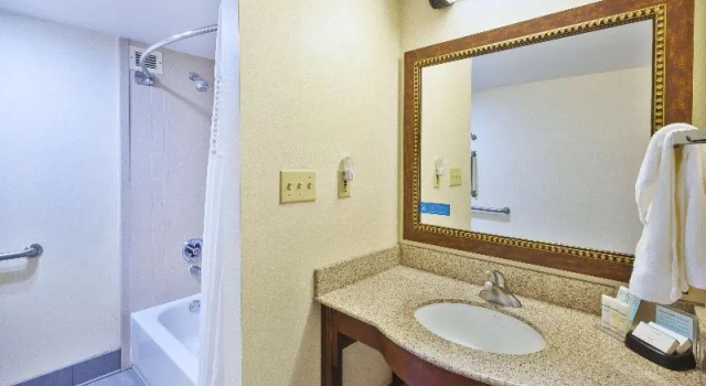 Студия Hampton Inn Washington-Dulles Int'l Airport South
