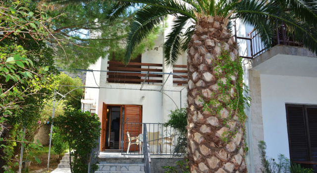 Apartments Cirkovic