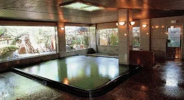 Номер Standard Nara Park Hotel