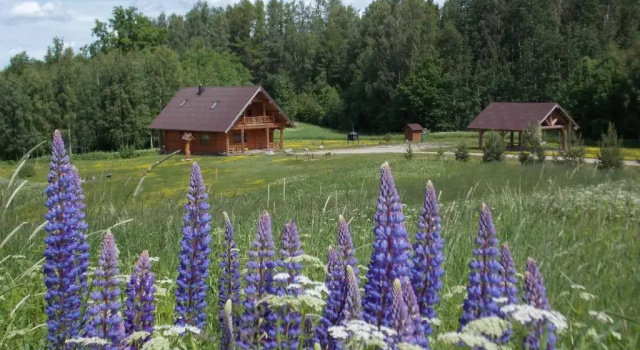 Коттедж с 3 комнатами Guest House Kalniņi