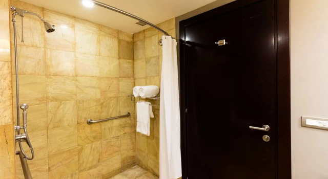 Двухместный номер Accessible Hilton Mexico City Reforma