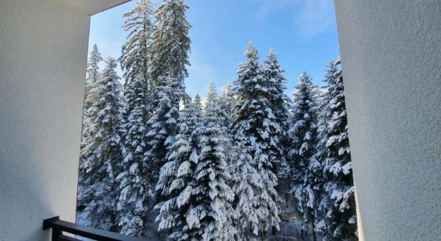 Апартаменты Pinewood ANG luxurious apartment A43, Borovets Gardens