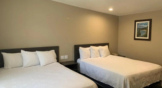 Четырёхместный номер Standard Black Jack Inn