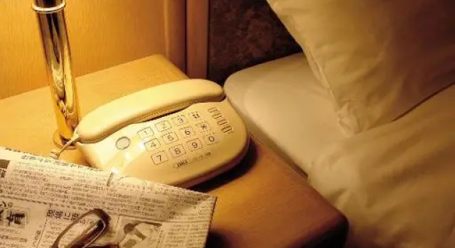 Двухместный номер Standard Hirosaki Plaza Hotel