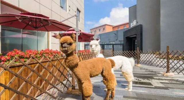 Voyage International Hotel, Забронировать Отель Пекин район Пекина