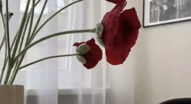 Апартаменты Старый Владикавказ, Забронировать Апартаменты/квартира Владикавказ Республика Северная Осетия - Алания, рядом с Национальный музей Северной Осетии