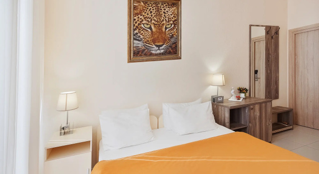 Double Classic phòng Busines-Hotel Rodina