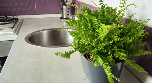 Апартаменты на Рокоссовского 11, Забронировать Апартаменты/квартира Калининград Калининградская область