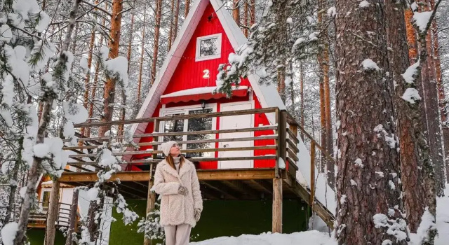 Коттедж Standard Greenvald Парк Скандинавия