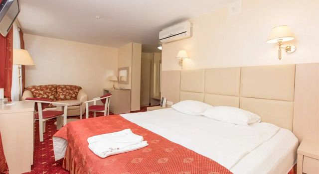 Двухместная студия АМАКС Премьер-отель