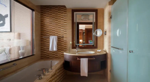 Двухместный номер Deluxe с видом на озеро Rixos Borovoe