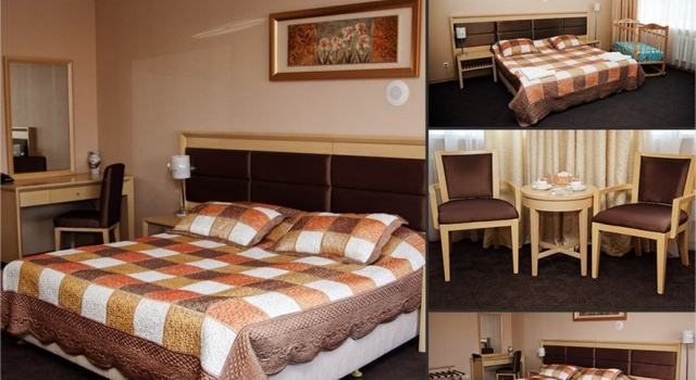 Camera doppia Standard Gorizont Hotel