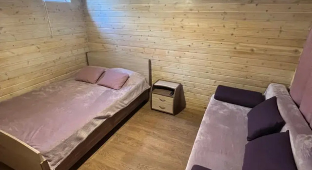 Standard with Sofa Double room Guest house Gostevoj dom Arshanskij Bor ekonom