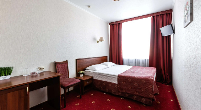 Двухместный номер Стандарт АМАКС Конгресс-отель