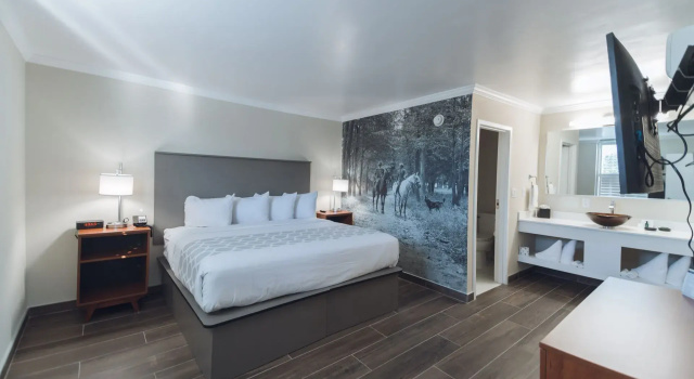Двухместный номер Standard Отель Equus Inn Ocala