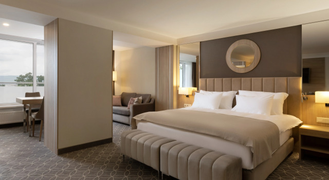 Двухместный Полулюкс (с оздоровительной программой) с балконом и с красивым видом из окна MAYRVEDA Kislovodsk