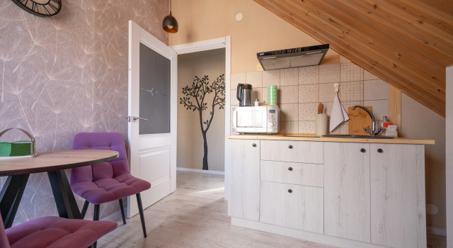 Квартира Уютная Однокомнатная Квартира в Старом Городе, Забронировать Апартаменты/квартира Кисловодск Кавминводы, рядом с Курортный парк