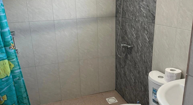 Двухместный номер Standard с красивым видом из окна Частный дом У Романа