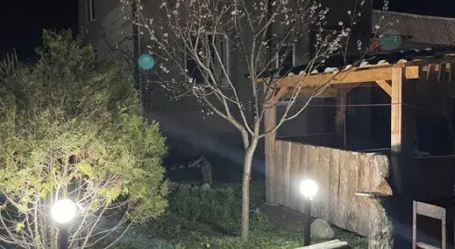 Trekhmestny V Zhivopisnom Ugolke Shaurdat Private house, Rezervasyon Tatil Evi Babugent Cherek District