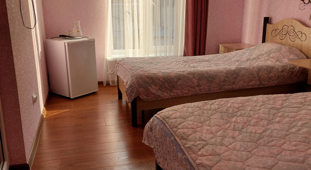 Стандарт Қосарлы бөлме көрініспен U Steklyannoy Strui Guest House