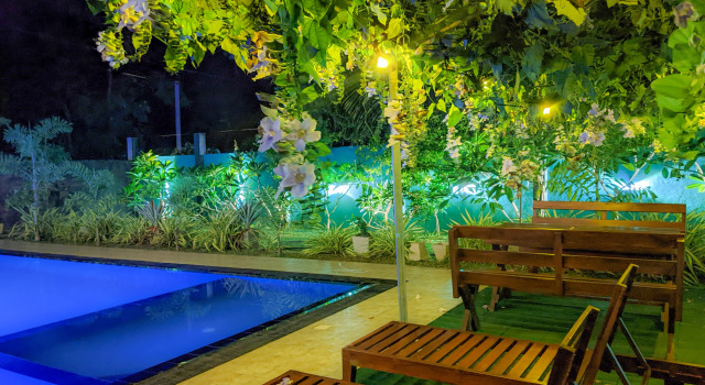 Yala Golden Wild, 予約 ホテル ティッサマハラマ Yala National Park