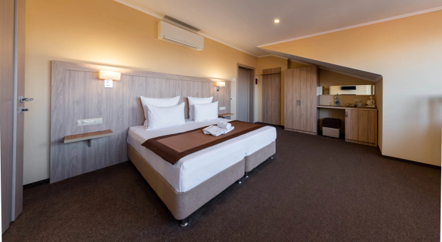 Двухместный номер Стандарт Мансарда с красивым видом из окна Синегорье