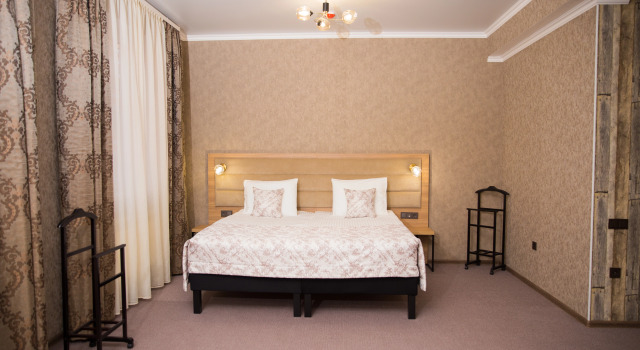 デラックス ダブル ルーム Passazh Hotel