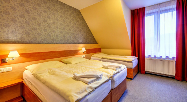 Номер Standard Hotel Toč